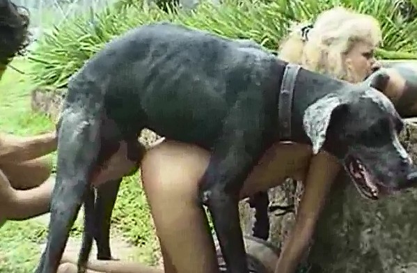 Раздраконенный пес ебет в очко светловолосую шлюху на улице zoo секс