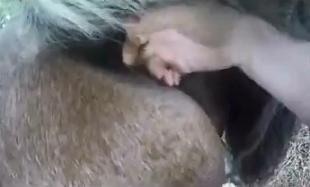 Эротичная жинка облизывает кляче писечку и мастурбирует пальцами частное zoo взрослое