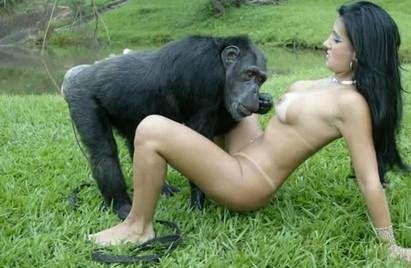 Animal sex оголившиеся развратницы стараются отчудить sex с орангутангом порнозоо фильм