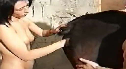 Porn animal дама дрочит кобылке пальчиками порнозоо фистинг