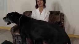Две бляди потерли сфинктеры на собачьем хуе анальное зоо порно фильм