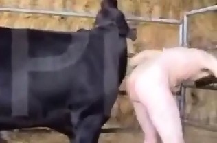 Беспутный педераст трахается с быком занятное порно зоо видеоролик смотреть online