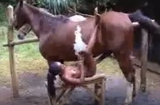 Жена негра трахается с конем и пыхтит на всю округу
