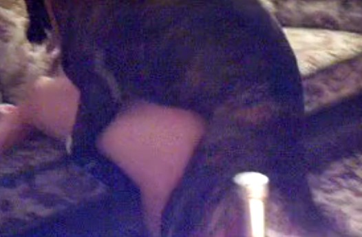 Любительское porn zoo оголенная блондинка стоит раком для ебли с собакой