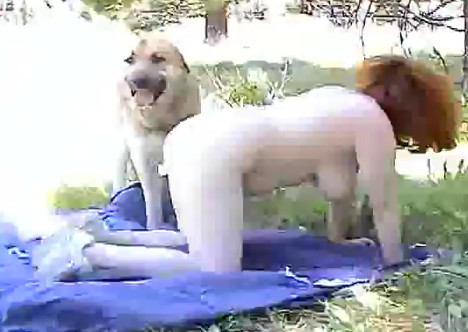 Отличное видео зоо порно зрелая баба получает кайф от траха с собакой