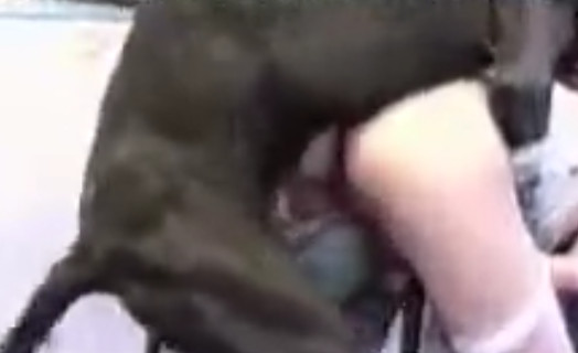 Огромный пес нахлобучивает на фаллос тощую развратницу порнушка зоо видео